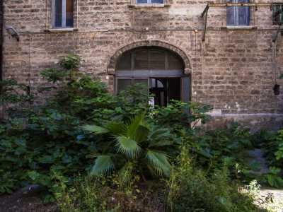 ...uno spiazzo invaso da piante di fico ed erbacce di ogni genere